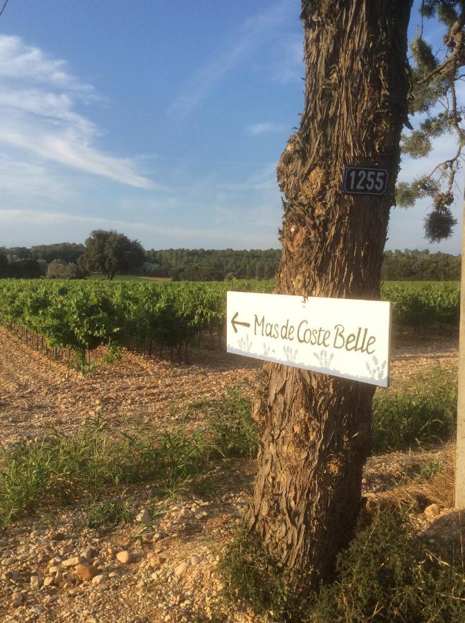 Mas De Costebelle Bed and Breakfast Bollène Εξωτερικό φωτογραφία