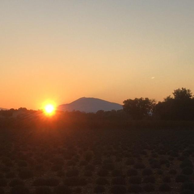 Mas De Costebelle Bed and Breakfast Bollène Εξωτερικό φωτογραφία