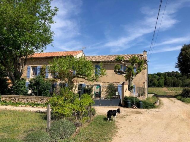 Mas De Costebelle Bed and Breakfast Bollène Εξωτερικό φωτογραφία