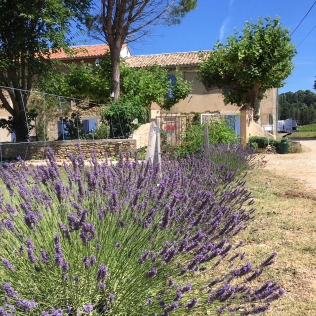 Mas De Costebelle Bed and Breakfast Bollène Εξωτερικό φωτογραφία